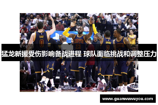 猛龙新援受伤影响备战进程 球队面临挑战和调整压力