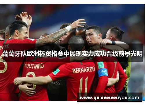 葡萄牙队欧洲杯资格赛中展现实力成功晋级前景光明