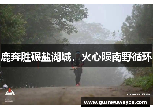 鹿奔胜碾盐湖城，火心陨南野循环