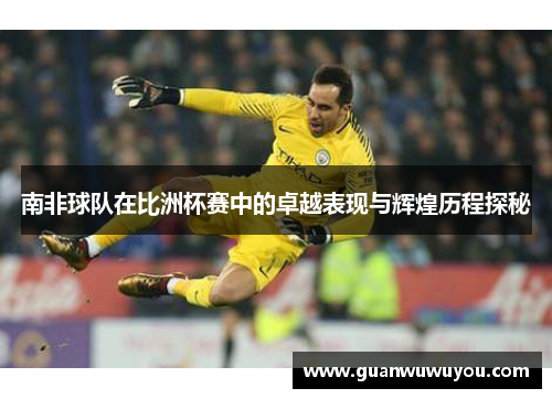 南非球队在比洲杯赛中的卓越表现与辉煌历程探秘