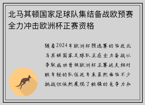 北马其顿国家足球队集结备战欧预赛全力冲击欧洲杯正赛资格